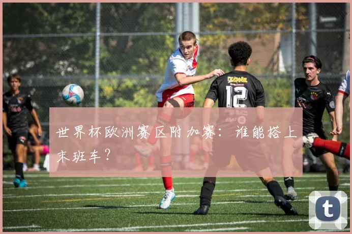 世界杯欧洲赛区附加赛：谁能搭上末班车？