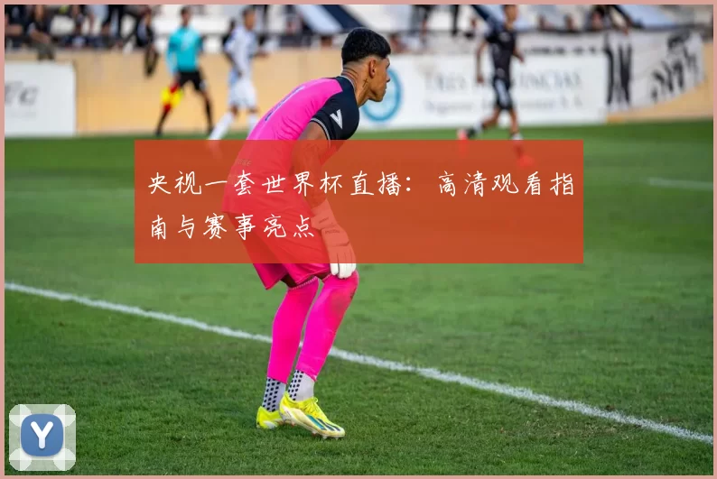 央视一套世界杯直播：高清观看指南与赛事亮点