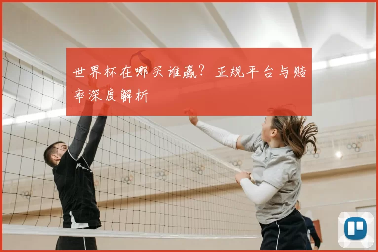 世界杯在哪买谁赢?正规平台与赔率深度解析