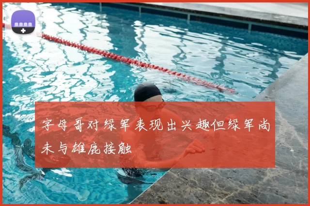 字母哥对绿军表现出兴趣但绿军尚未与雄鹿接触