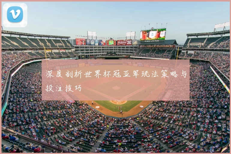 深度剖析世界杯冠亚军玩法策略与投注技巧