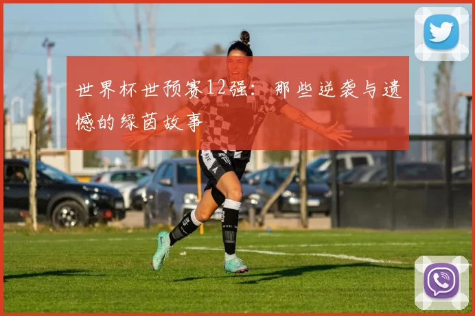 世界杯世预赛12强:那些逆袭与遗憾的绿茵故事