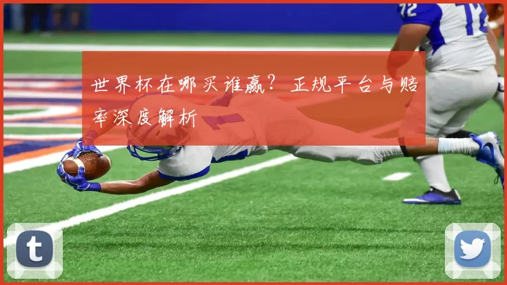 世界杯在哪买谁赢？正规平台与赔率深度解析