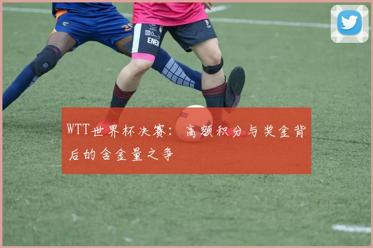 WTT世界杯决赛：高额积分与奖金背后的含金量之争