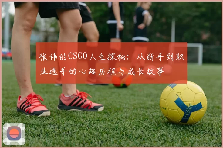 张伟的CSGO人生探秘：从新手到职业选手的心路历程与成长故事