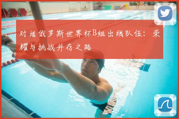 对话俄罗斯世界杯B组出线队伍:荣耀与挑战并存之路