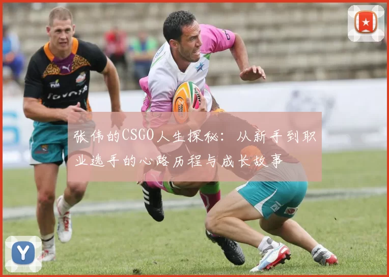 张伟的CSGO人生探秘：从新手到职业选手的心路历程与成长故事