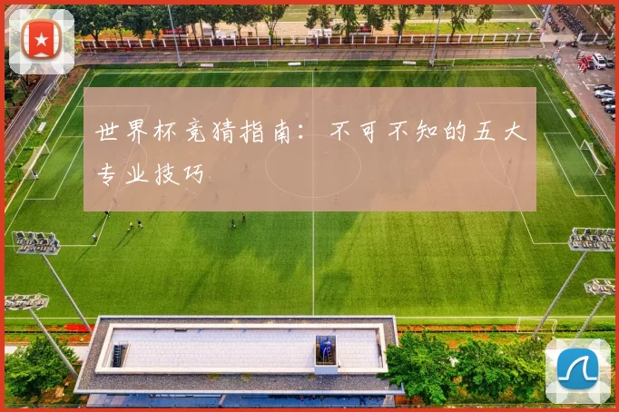 世界杯竞猜指南:不可不知的五大专业技巧