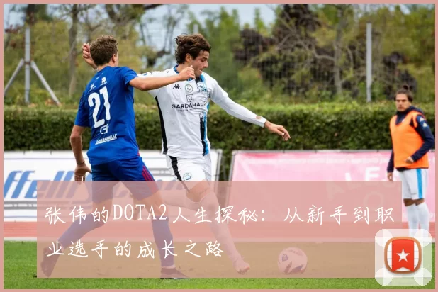 张伟的DOTA2人生探秘：从新手到职业选手的成长之路