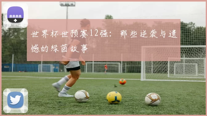 世界杯世预赛12强:那些逆袭与遗憾的绿茵故事