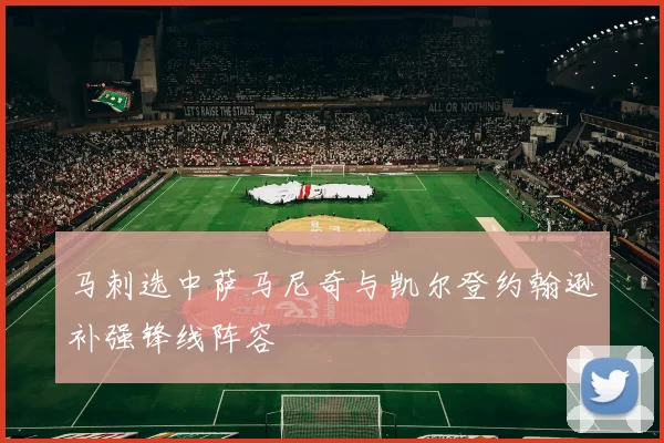 马刺选中萨马尼奇与凯尔登约翰逊补强锋线阵容