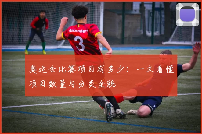 奥运会比赛项目有多少：一文看懂项目数量与分类全貌