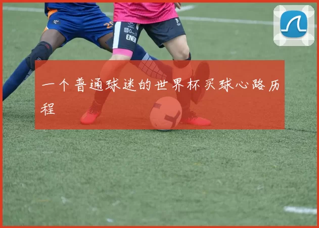 一个普通球迷的世界杯买球心路历程