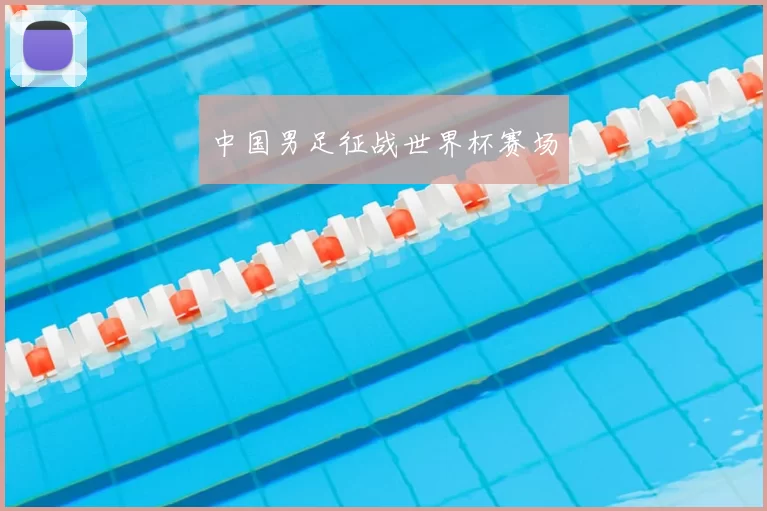 中国男足征战世界杯赛场