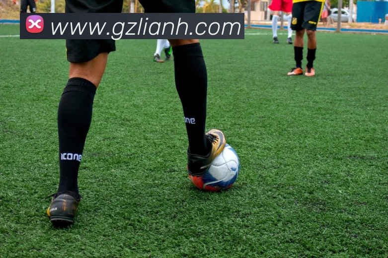 博亚体育APP 封面图